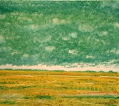 Backhouse-Karoo Horizons XXI 2011-Monotype-LR