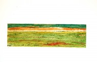 Backhouse-Karoo Horizons XXX 2011-Monotype-LR