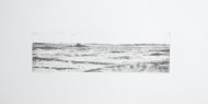 Backhouse-Karoo Preserved I.F 2011-Monotype-HR