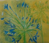 Findlay-Agapanthus I 2011-Monotype-LR