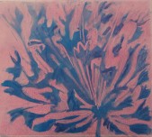 Findlay-Agapanthus II 2011-Monotype-LR