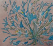 Findlay-Agapanthus V 2011-Monotype-LR
