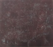 Findlay-Agapanthus VI 2011-Monotype-LR