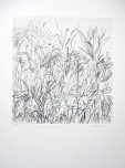 Findlay-Aloes and Wild Grasses EV 2-DRypoint with Hand-Painting-LR