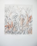 Findlay-Aloes and Wild Grasses EV 7-DRypoint with Hand-Painting-LR