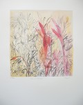 Findlay-Aloes and Wild Grasses EV 8-DRypoint with Hand-Painting-LR