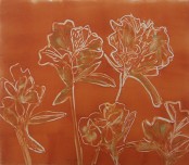 Findlay-Inca Lilies I 2011-Monotype-LR
