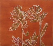 Findlay-Inca Lilies III 2011-Monotype-LR