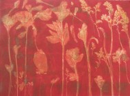 Findlay-Plant Landscape II 2011-Monotype-LR