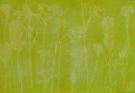 Findlay-Plant Landscape III 2011-Monotype-LR