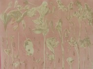 Findlay-Plant Landscape V 2011-Monotype-LR