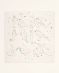 Gavronsky-Of a Feather 2011-Drypoint with Handpainting-LR 20