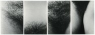 Schneider-Nina Portrait Sequence 1 1975 - Pigmented Ink on Paper-LR