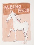 Mashile-Albino Barb 2011- Watercolour-LR