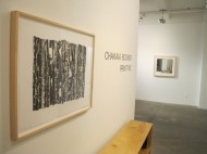 Installation (3)