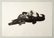 Victor- Let sleeping croc lie- Etching- 2012- LR