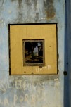 Don (2)
