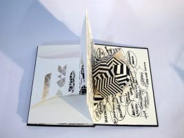 Stephen Hobbs Pop-Up Book - DAVID KRUT PROJECTS