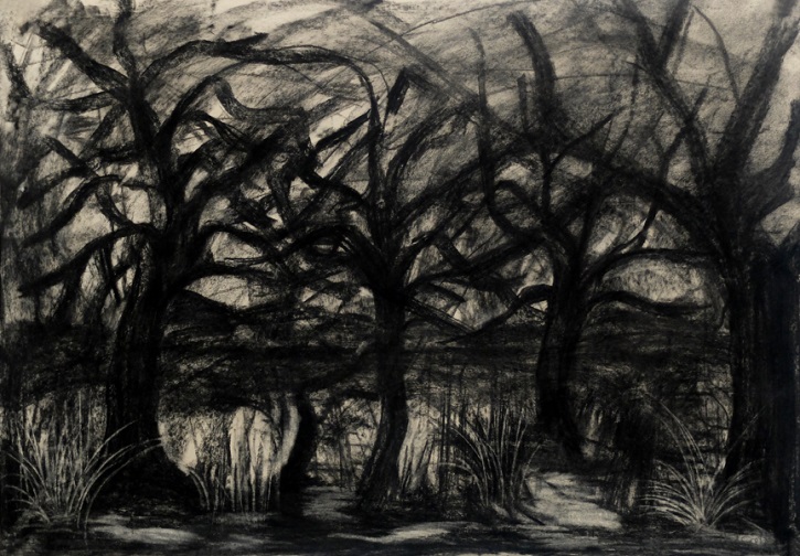 Mothimakoscapes I, 2014, Khehla Chepape Makgato - Charcoal drawing