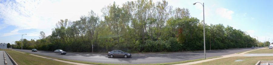 Pruitt-Igoe, St Louis.Pruitt-Igoe became a “violent gang land as a result of the state of social and economic decline in the area. Eventually, the entire set of buildings was demolished, leaving a giant urban forest.” 