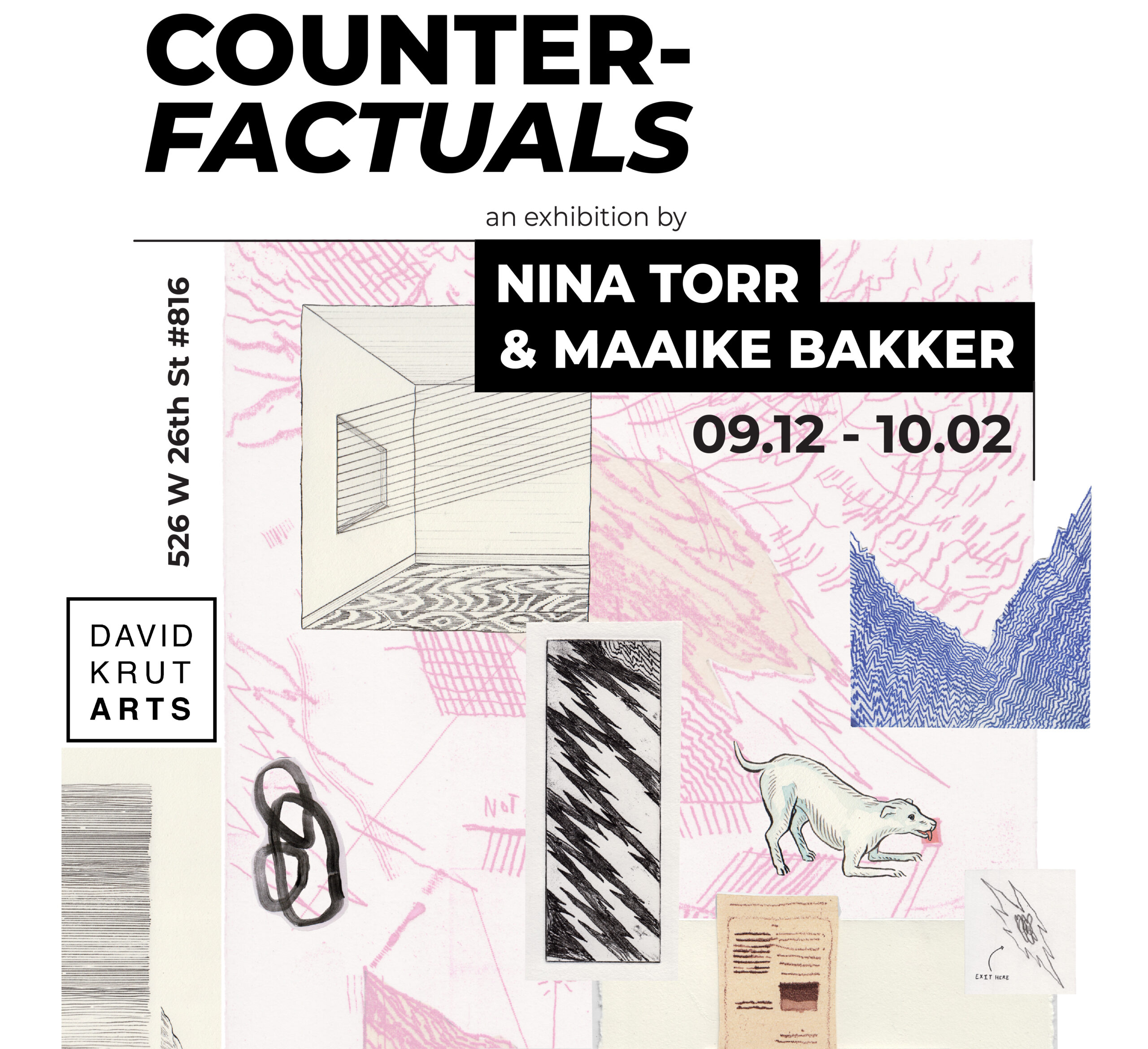 counterfactuals-an-interactive-eventuality-david-krut-projects
